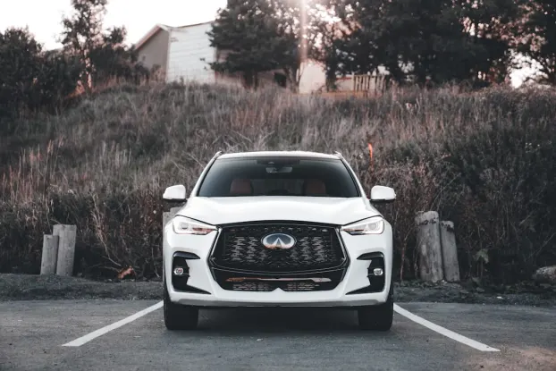 Wildz Casino Aip Android/iOS